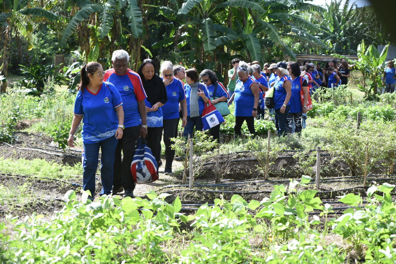 Turma da Escola do Idoso aprende sobre agroecologia na Fazenda Joaquín Piñero