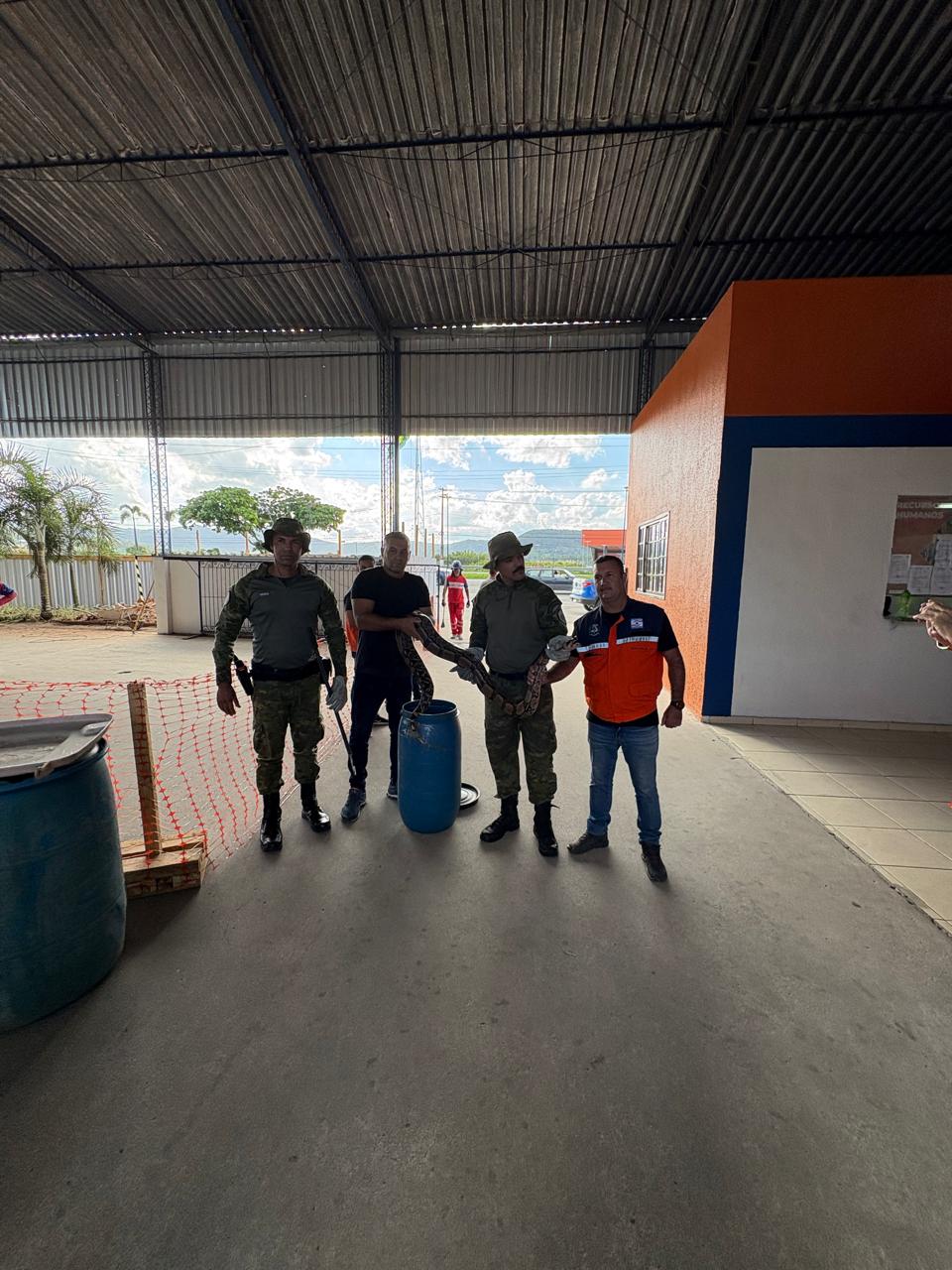Secretaria de Segurança Cidadã resgata jiboia em Bambuí