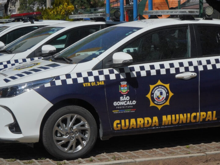 Guarda Municipal prende homem que tentou furtar fios de sinal de trânsito