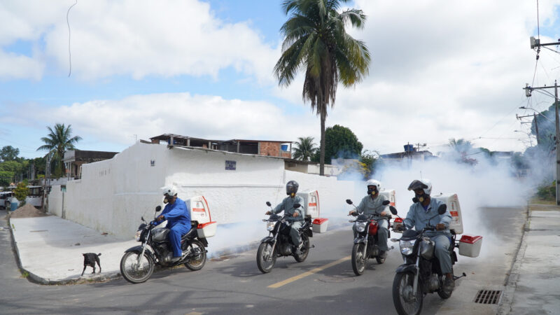 Combate ao Aedes aegypti em quase 30 bairros essa semana