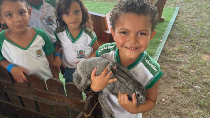 Niterói celebra a Semana do Meio Ambiente com ações que reforçam seu compromisso com a sustentabilidade
