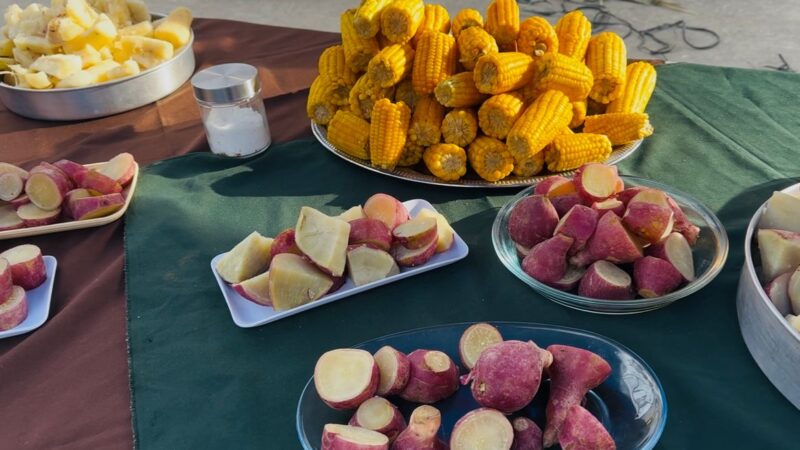 Arraiá da Feira Livre anima manhã de domingo com tradição e sabores em Itaboraí