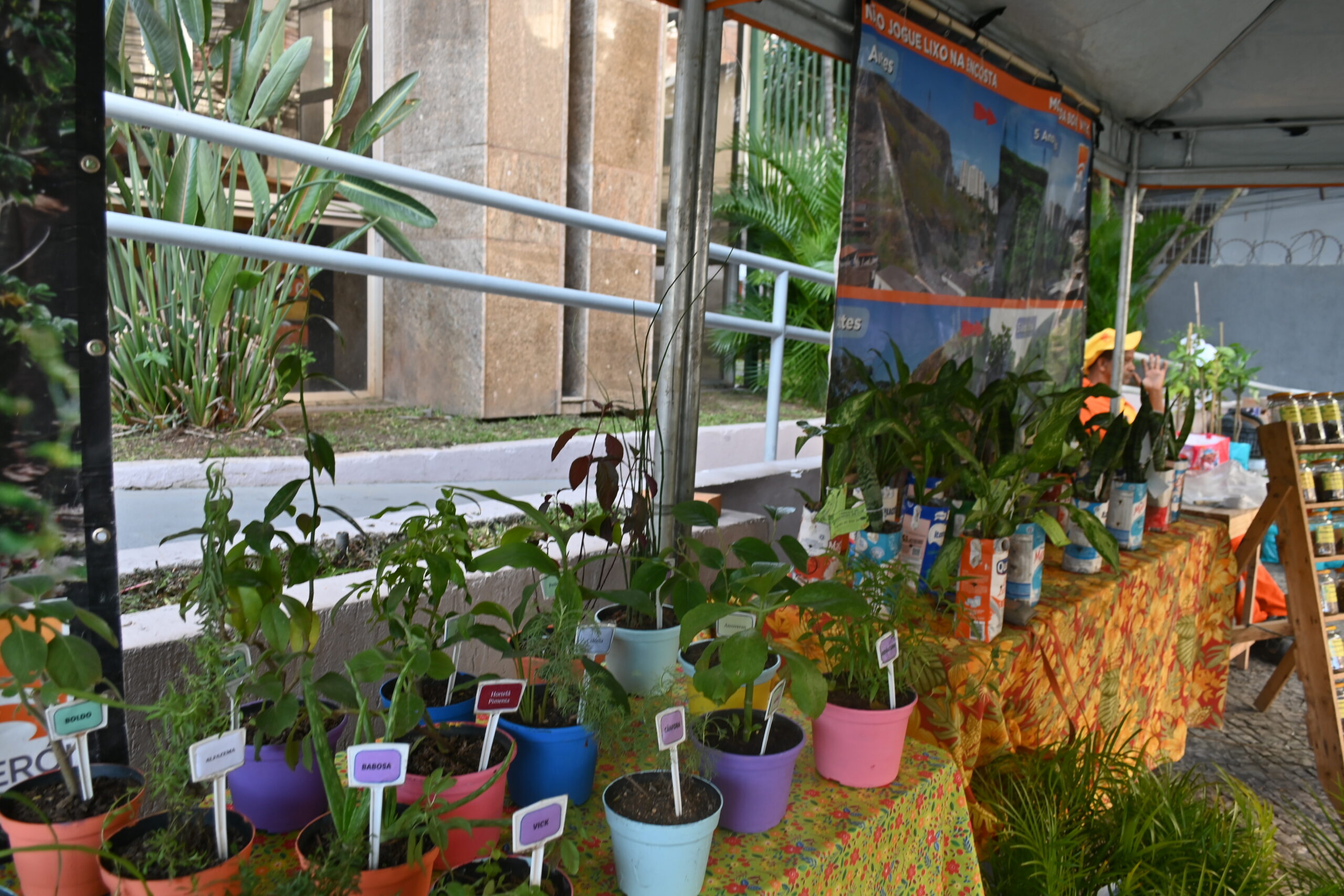 Clin comemora o Dia do Meio Ambiente com exposição em frente à Prefeitura de Niterói
