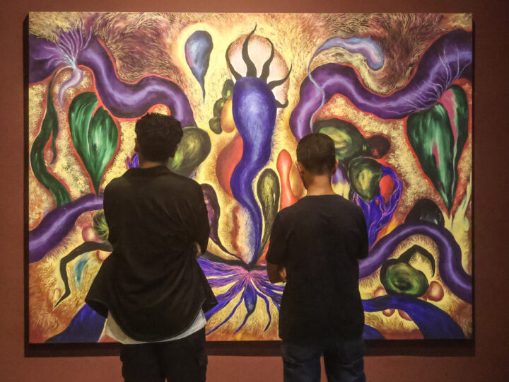 MAC Niterói recebe nova exposição: “Entre Corpos”