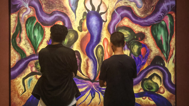 MAC Niterói recebe nova exposição: “Entre Corpos”