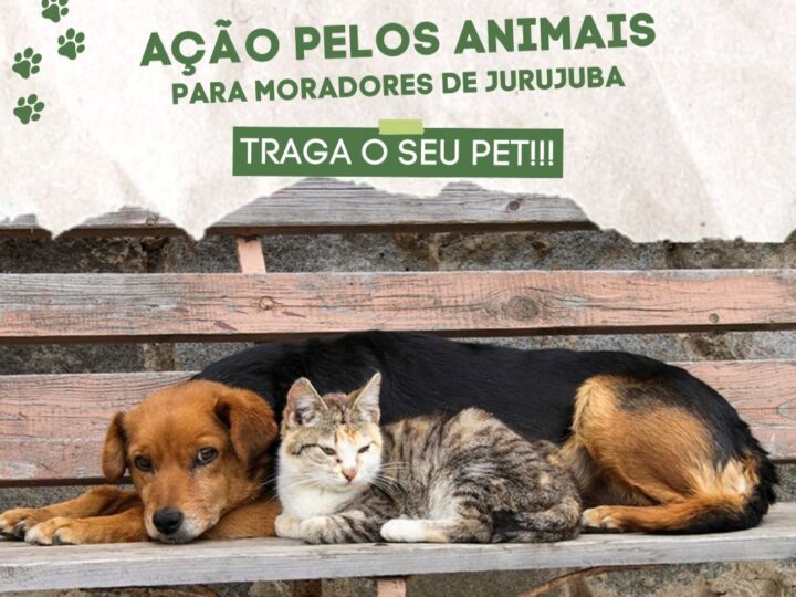 Ação pelos Animais em Jurujuba oferece cuidados gratuitos para pets neste domingo (9)