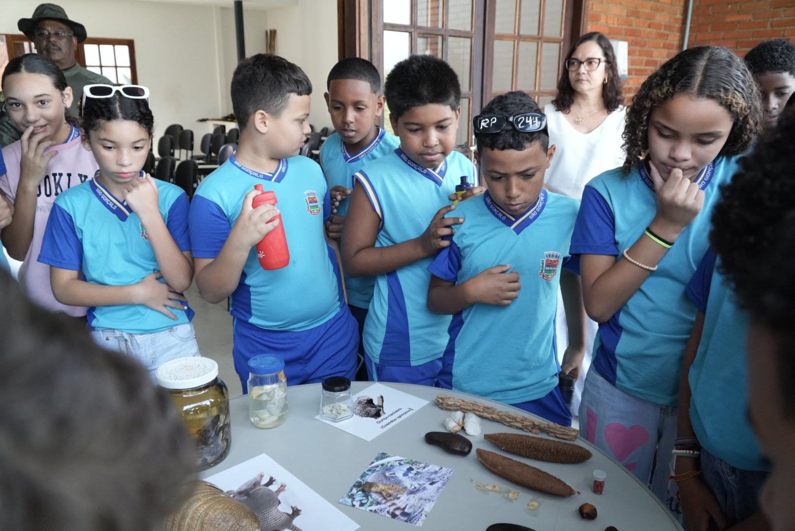 Alunos da rede municipal plantam mudas de árvores no Dia Mundial do Meio Ambiente