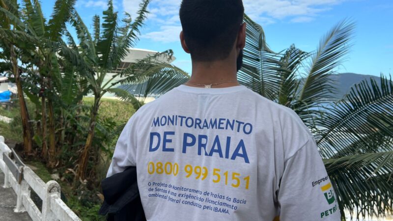 Monitoramento de Praia faz varredura em toda a orla de Niterói à procura de elefante-marinho