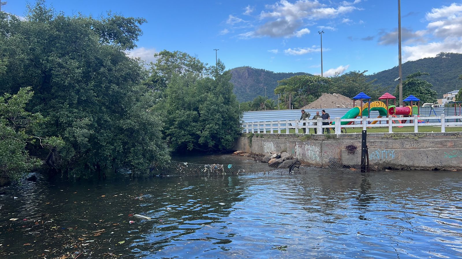 Elefante-marinho volta à praia de São Francisco após ser liberado de ecobarreira no Canal