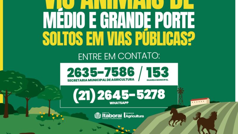Prefeitura de Itaboraí inicia trabalho de apreensão de animais soltos nas vias públicas