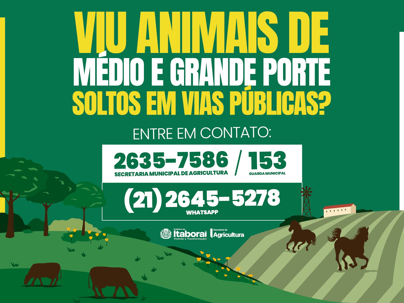 Prefeitura de Itaboraí inicia trabalho de apreensão de animais soltos nas vias públicas
