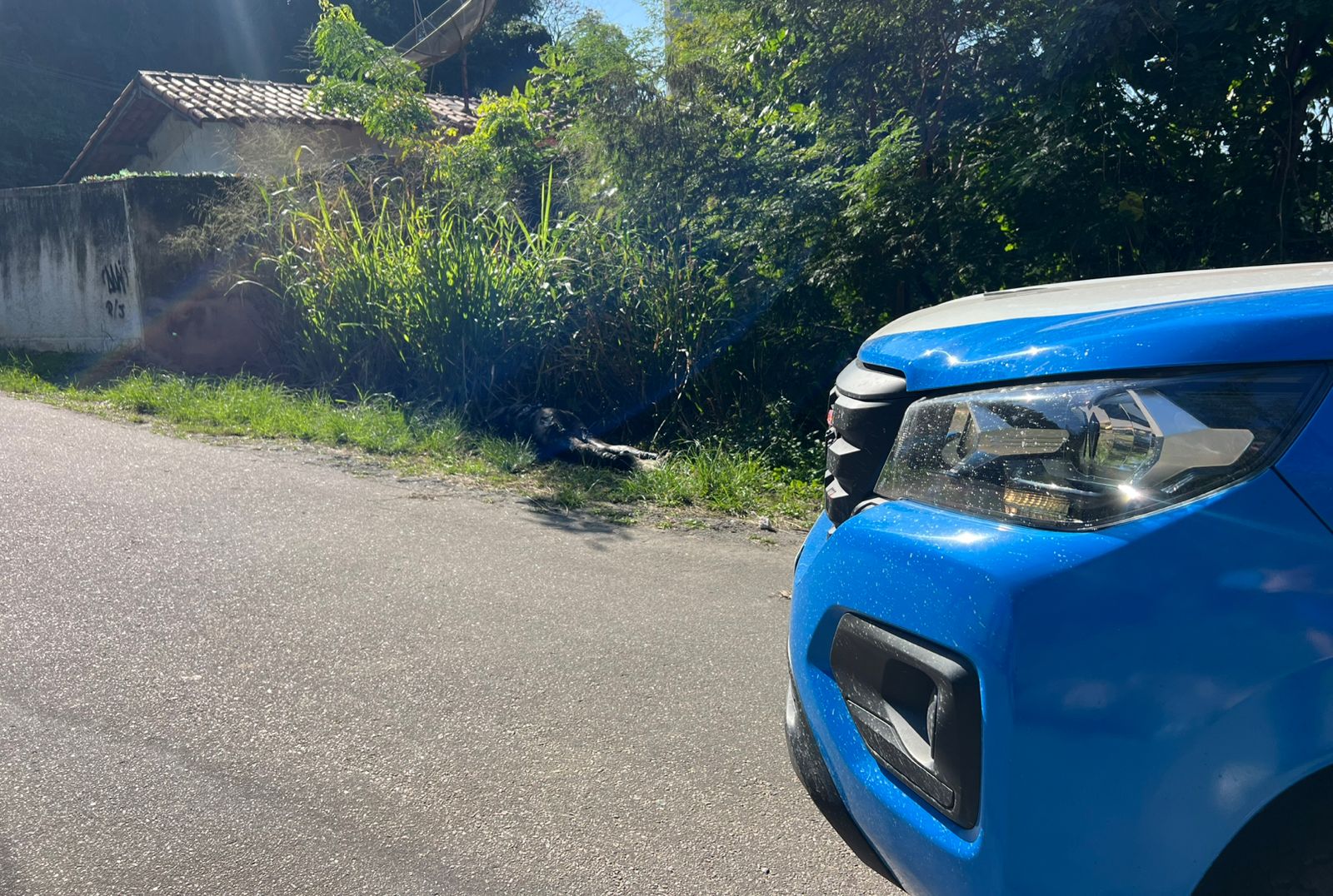 Corpo é encontrado carbonizado em área de mata em Maria Paula, Niterói