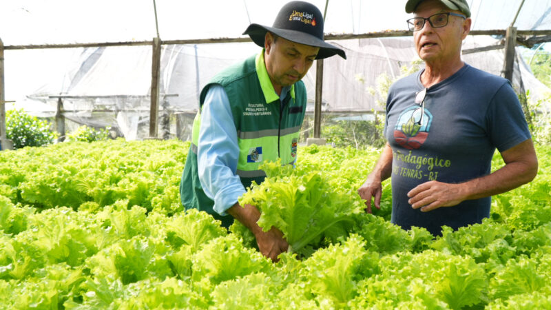 Sítio em São Gonçalo se destaca com produção natural de alfaces e projetos sociais