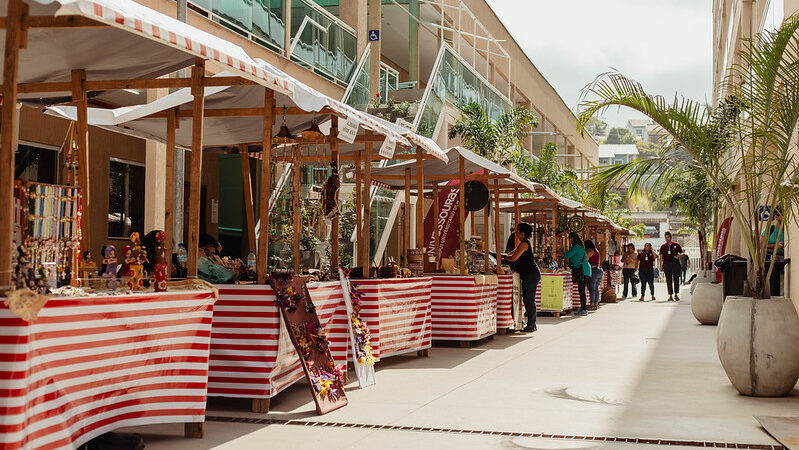 Eduardo Suplicy é destaque no primeiro dia do Congresso BIEN, em Maricá
