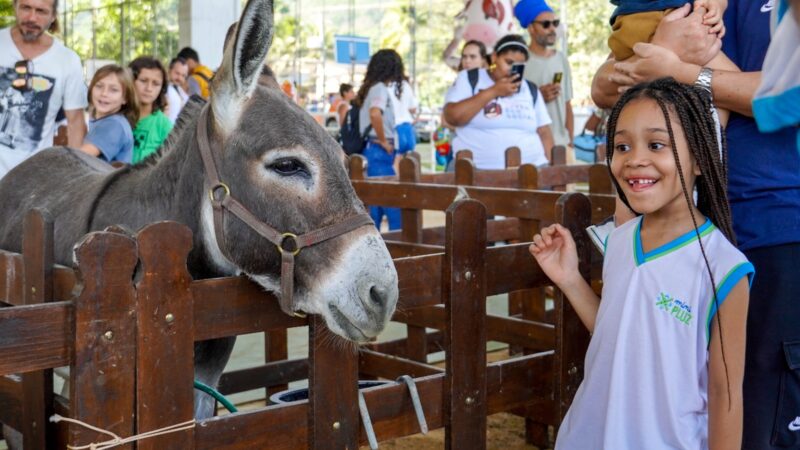 Festa no Parque Rural encerra festival de arraiás na cidade