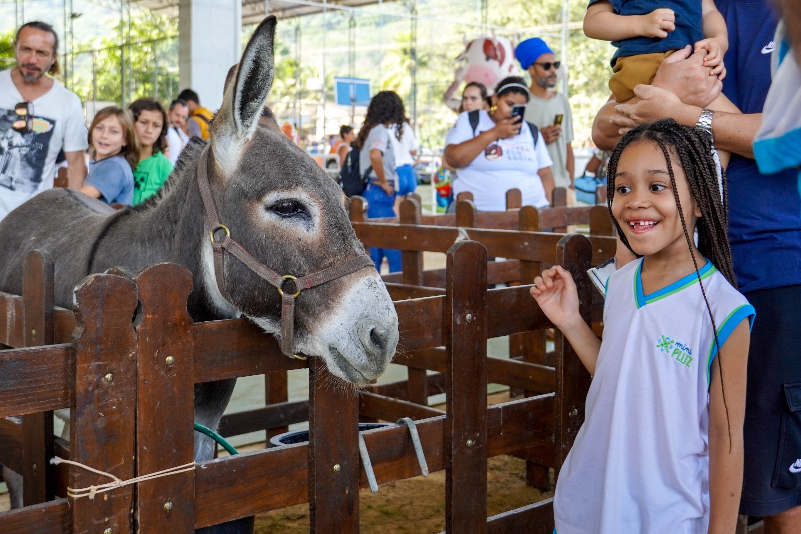 Festa no Parque Rural encerra festival de arraiás na cidade