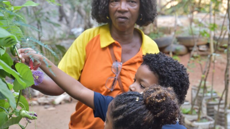 Alunos do Colégio Universitário Geraldo Reis (UFF) visitam viveiro de mudas da Clin
