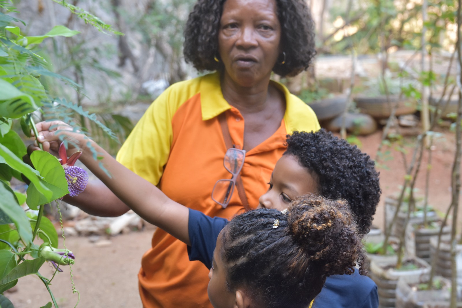 Alunos do Colégio Universitário Geraldo Reis (UFF) visitam viveiro de mudas da Clin