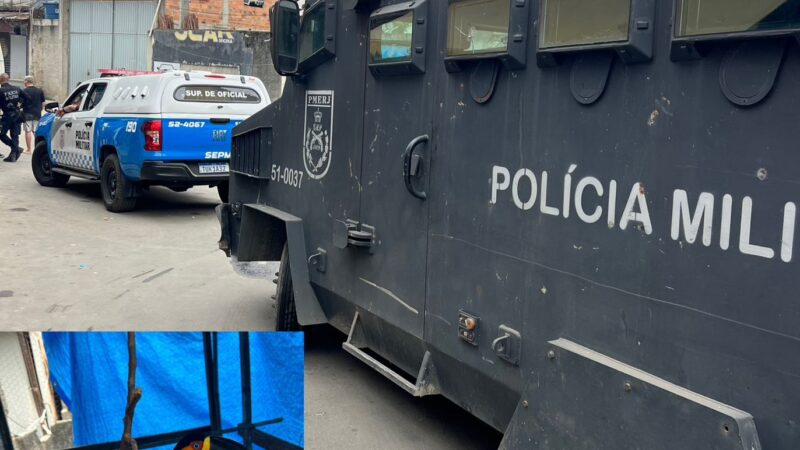 Operação policial no Morro do Castro termina com dois mortos, armas apreendidas e um tucano resgatado