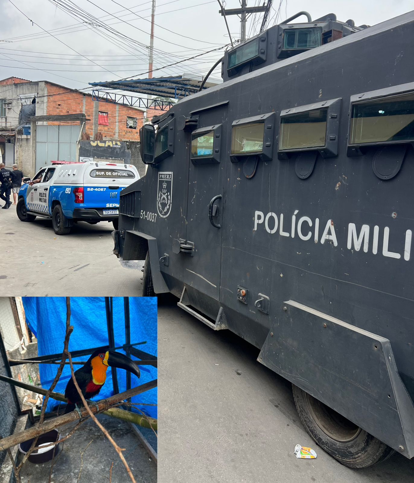 Operação policial no Morro do Castro termina com dois mortos, armas apreendidas e um tucano resgatado