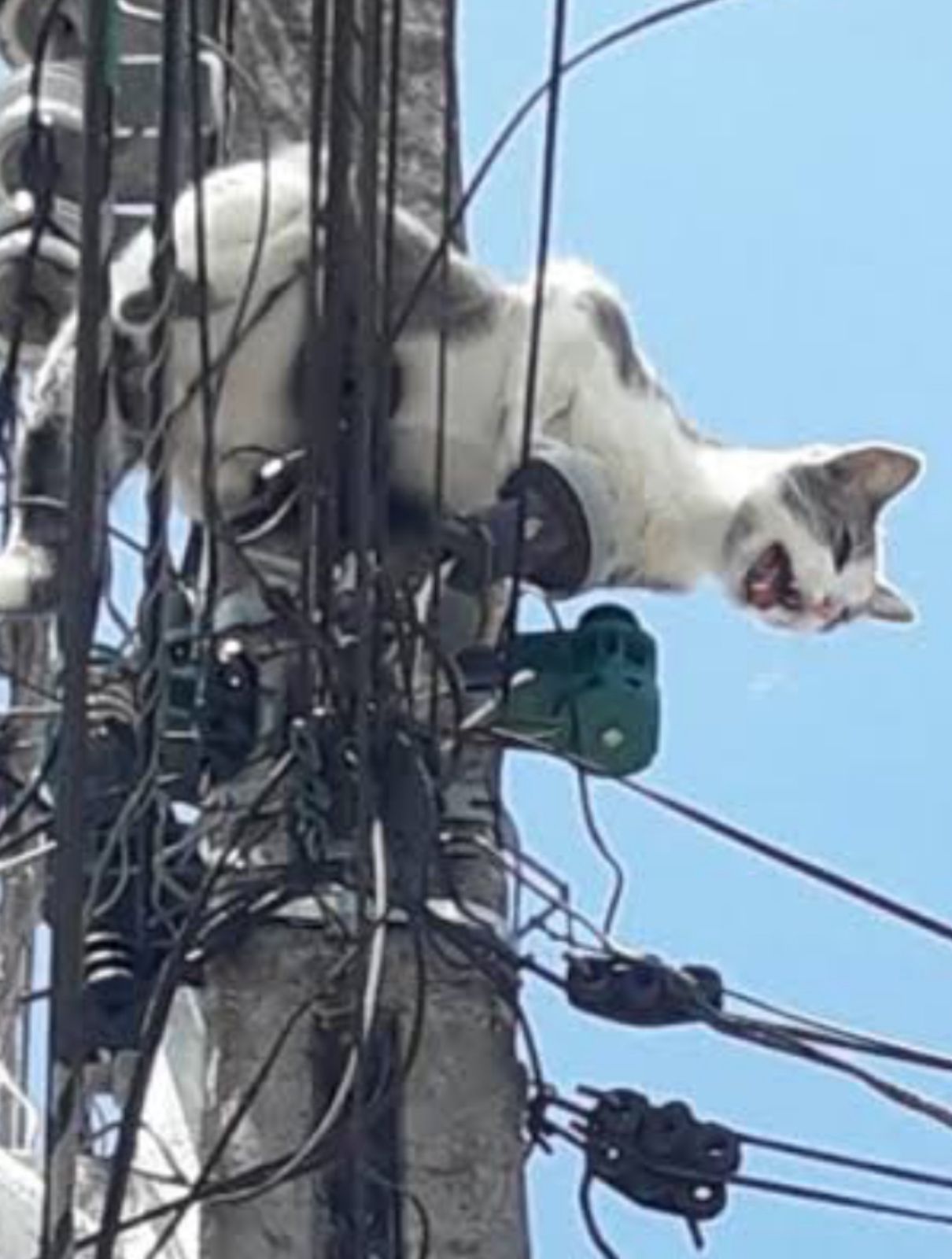 Dono de hortifruti é conduzido à delegacia por furto de energia em Niterói
