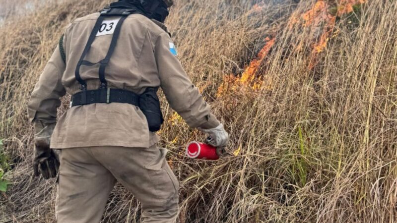 Corpo de Bombeiros realiza ação preventiva no Morro do Elefante e reforça estratégias estaduais contra incêndios florestais