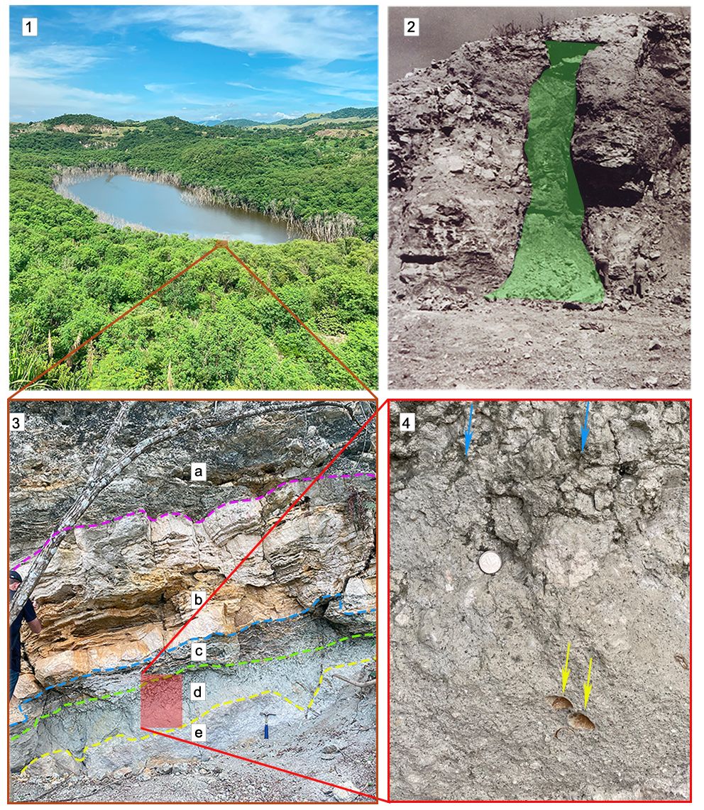 Nova espécie de mamífero fóssil é identificada no Parque Paleontológico de São José de Itaboraí