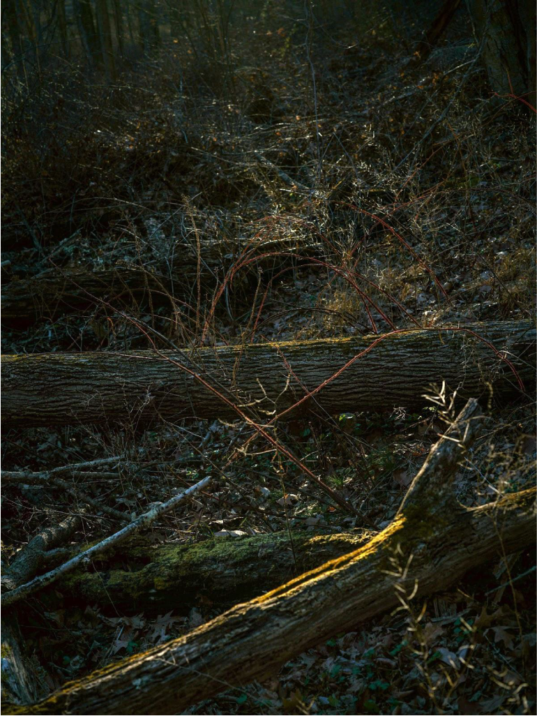 MAC Niterói inaugura exposição individual de Edo Costantini