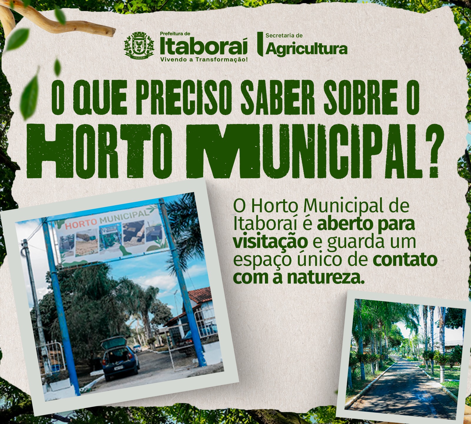 Horto Municipal de Itaboraí abre as portas para visitação com agendamento prévio
