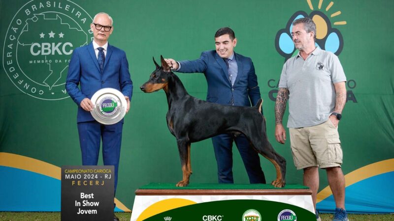 Prefeitura de Niterói promove Exposição de Cães de Raça