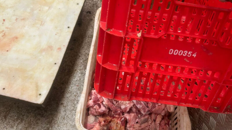 Vigilância Sanitária interdita mercado no Centro de São Gonçalo