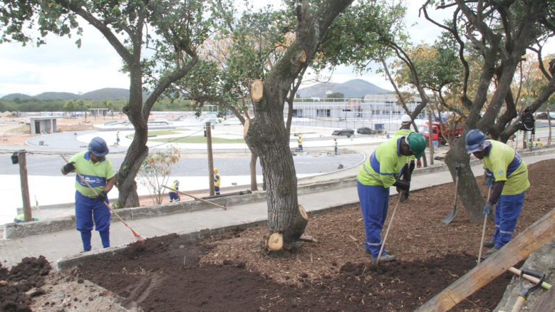 Prefeitura e Governo do Estado iniciam plantio de grama e mudas no Parque RJ