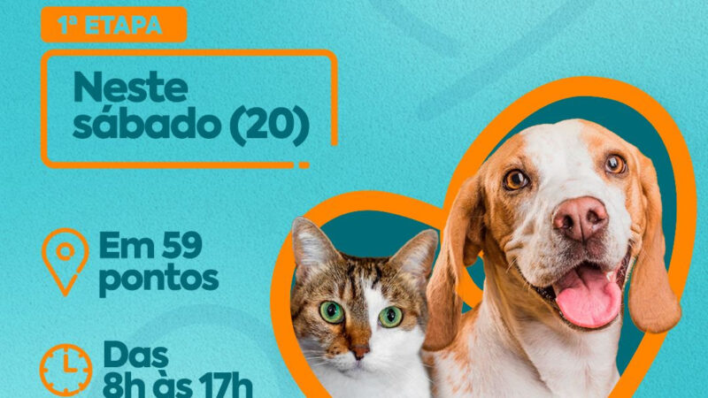 São Gonçalo promove vacinação antirrábica para cães e gatos neste sábado