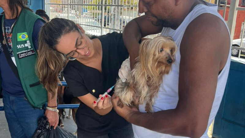 Primeira etapa da campanha de vacinação antirrábica imuniza mais de 52 mil cães e gatos em São Gonçalo