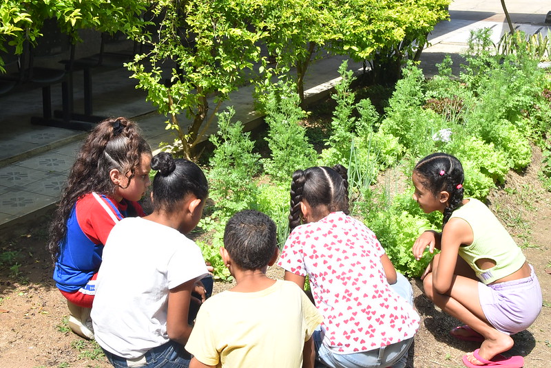 Maricá colhe primeiros frutos de projeto de horta terapêutica