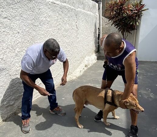 Niterói encerra neste sábado campanha de vacinação antirrábica