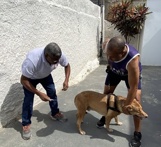 Niterói encerra neste sábado campanha de vacinação antirrábica