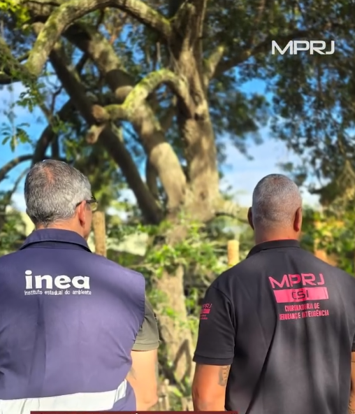 MPRJ realiza operação conjunta em Búzios contra Instituto acusado de maus-tratos a animais