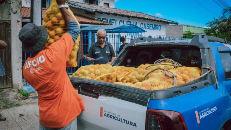 Itaboraí valoriza agricultura familiar e oferece merenda saudável para escolas municipais