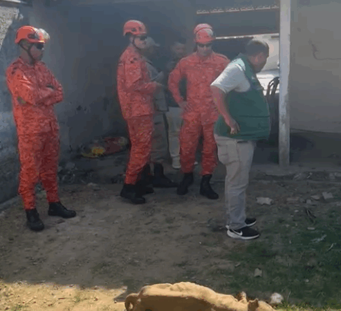 Prefeitura de Maricá resgata nove animais em situação de maus-tratos 