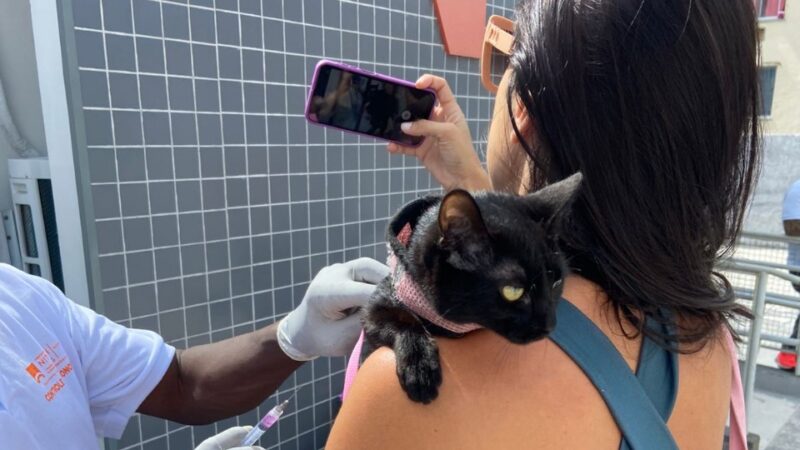 Campanha de vacinação antirrábica animal chega à Zona Norte de Niterói no próximo sábado