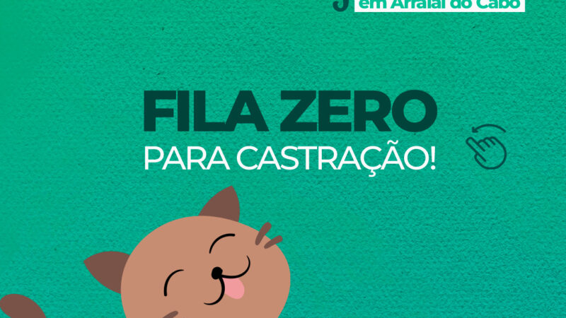 Com fila zerada, Arraial do Cabo abre novas vagas para castração gratuita de gatos