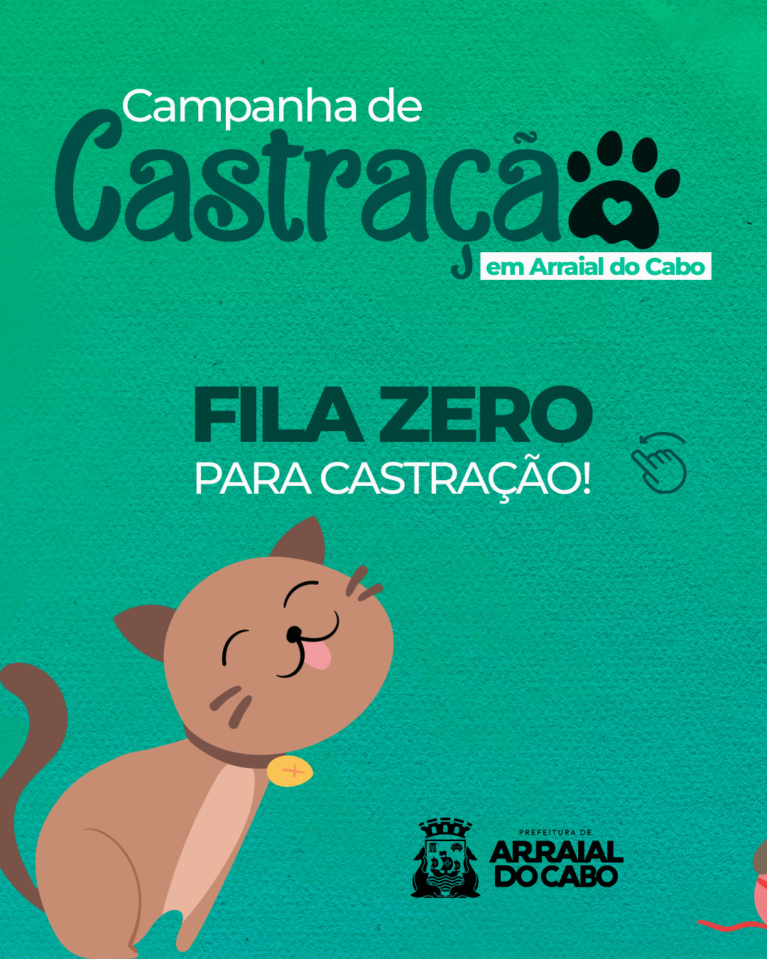 Com fila zerada, Arraial do Cabo abre novas vagas para castração gratuita de gatos
