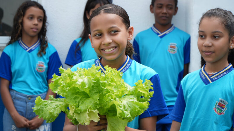 Alunos participam de colheita em hortas municipais de São Gonçalo