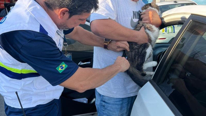 São Gonçalo realiza segunda etapa da vacinação antirrábica no próximo sábado