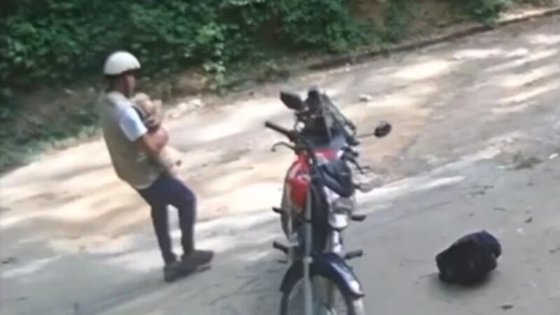 Ladrão de cachorro é caçado e preso em Niterói — Shih Tzu é resgatado por Policiais Militares