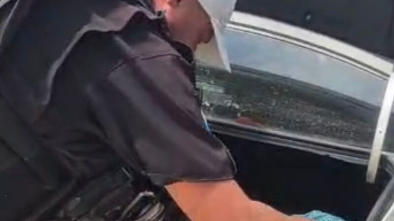 Equipes do CPRv prendem grande quantidade de drogas na Via Lagos