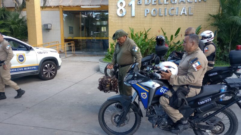 Guarda Ambiental da Prefeitura de Niterói apreende cerca de 50 caranguejos comercializados irregularmente na Praia de Itaipu