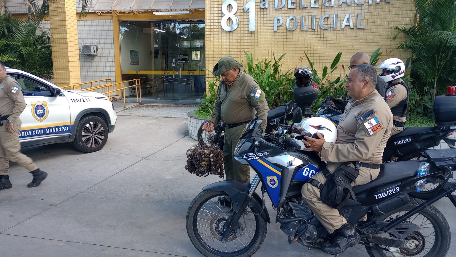 Guarda Ambiental da Prefeitura de Niterói apreende cerca de 50 caranguejos comercializados irregularmente na Praia de Itaipu