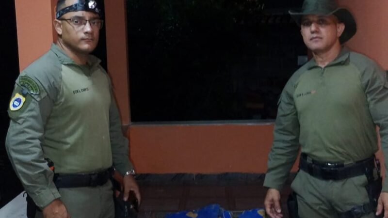 Visita inesperada na varanda: preguiça é resgatada e devolvida à natureza em Niterói